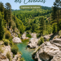 Vue panoramique des paysages des Cévennes avec des montagnes verdoyantes.
