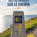 Image d'une marche sur le Camino de Santiago avec des paysages inspirants et des marcheurs contemplatifs.