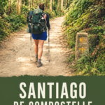 Vue panoramique de Santiago avec les Andes en arrière-plan