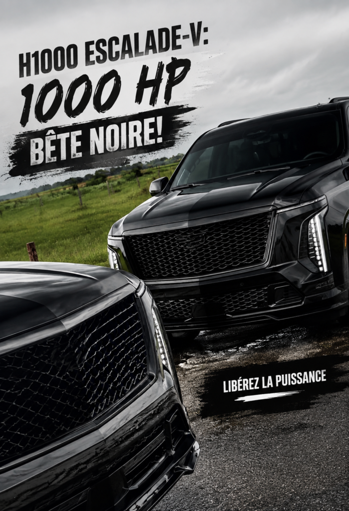 H1000 Escalade-V sur un chemin de montagne - performance et aventure