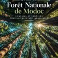 Vue panoramique sur le Modoc National Forest, avec des arbres majestueux et des sentiers de randonnée.