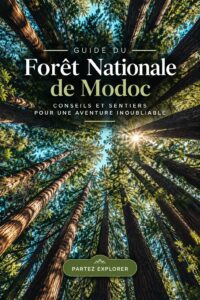Vue panoramique sur le Modoc National Forest, avec des arbres majestueux et des sentiers de randonnée.