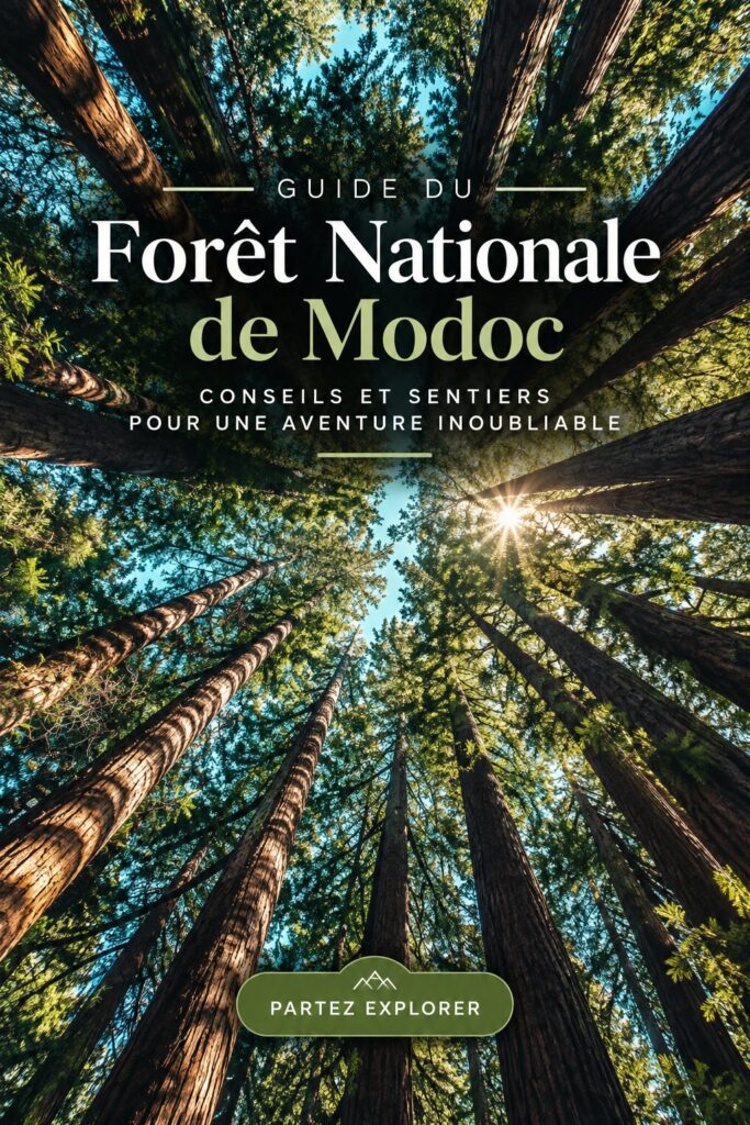 Vue panoramique sur le Modoc National Forest, avec des arbres majestueux et des sentiers de randonnée.