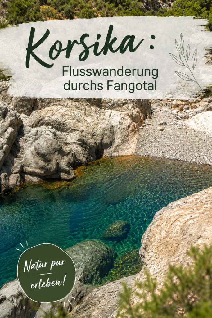 Randonnée dans les paysages verdoyants du Fangotal en Corse, avec une rivière tranquille au fond.